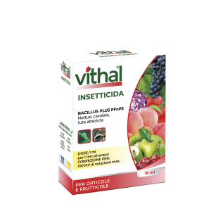 Vithal Bacillus Plus PfnPE